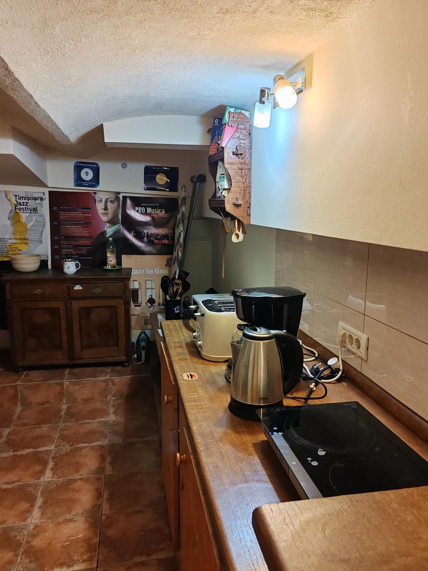 Hotel Arthouse Lucrezia Timișoara Zewnętrze zdjęcie
