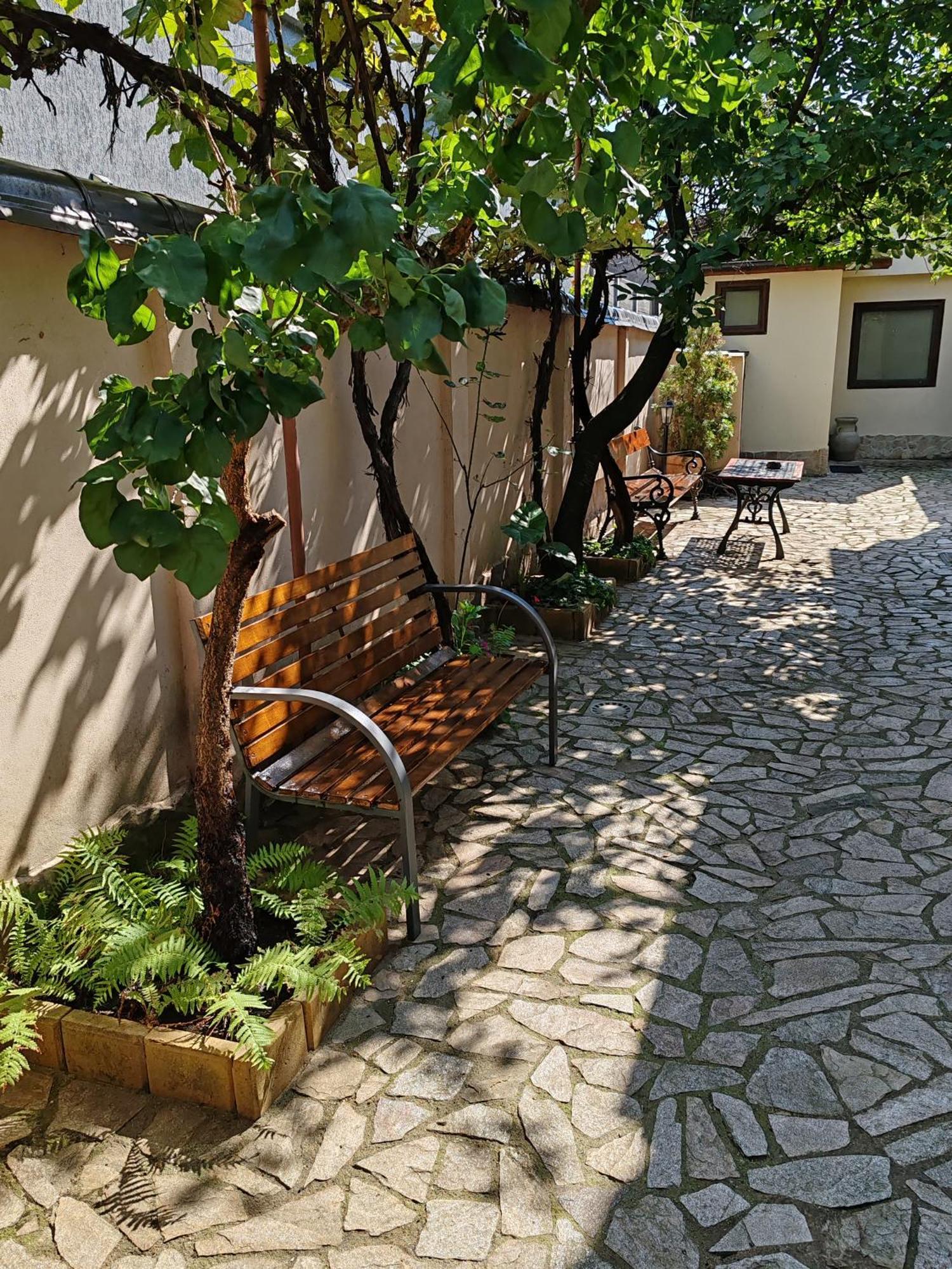 Hotel Arthouse Lucrezia Timișoara Zewnętrze zdjęcie